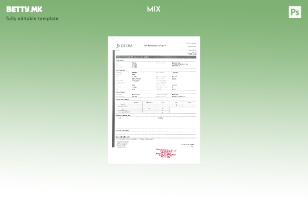 Шаблон за извештај за проверка на возилото во модерен стил